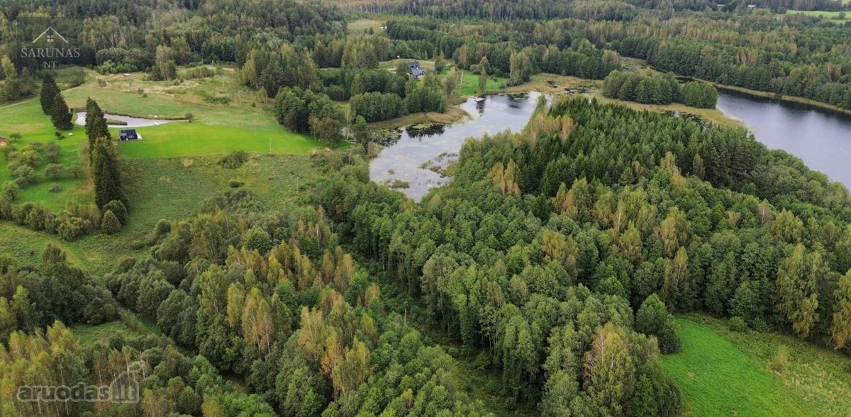 Parduodamas 2 Ha Žemės Sklypas Su Pakrante - nuotraukos Nr. 9