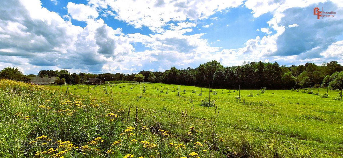 Parduodama sodyba su šilauogių ūkiu - nuotraukos Nr. 5