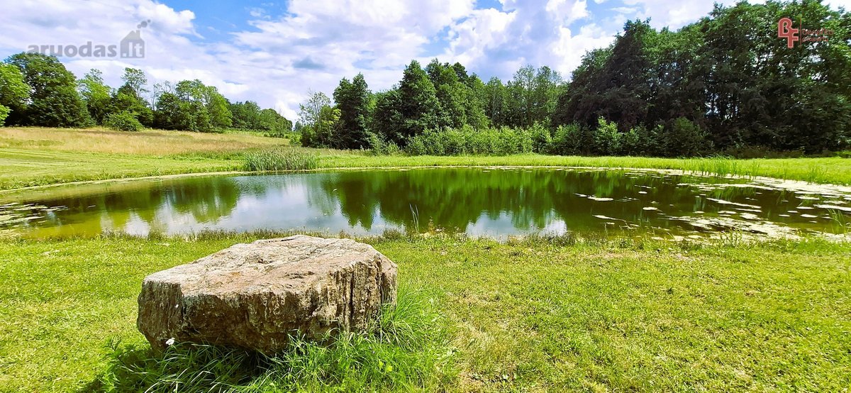 Parduodama sodyba su šilauogių ūkiu - nuotraukos Nr. 2