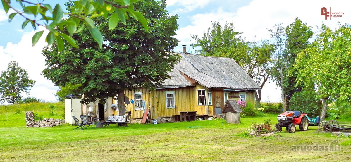 Parduodama sodyba su šilauogių ūkiu - nuotraukos Nr. 12