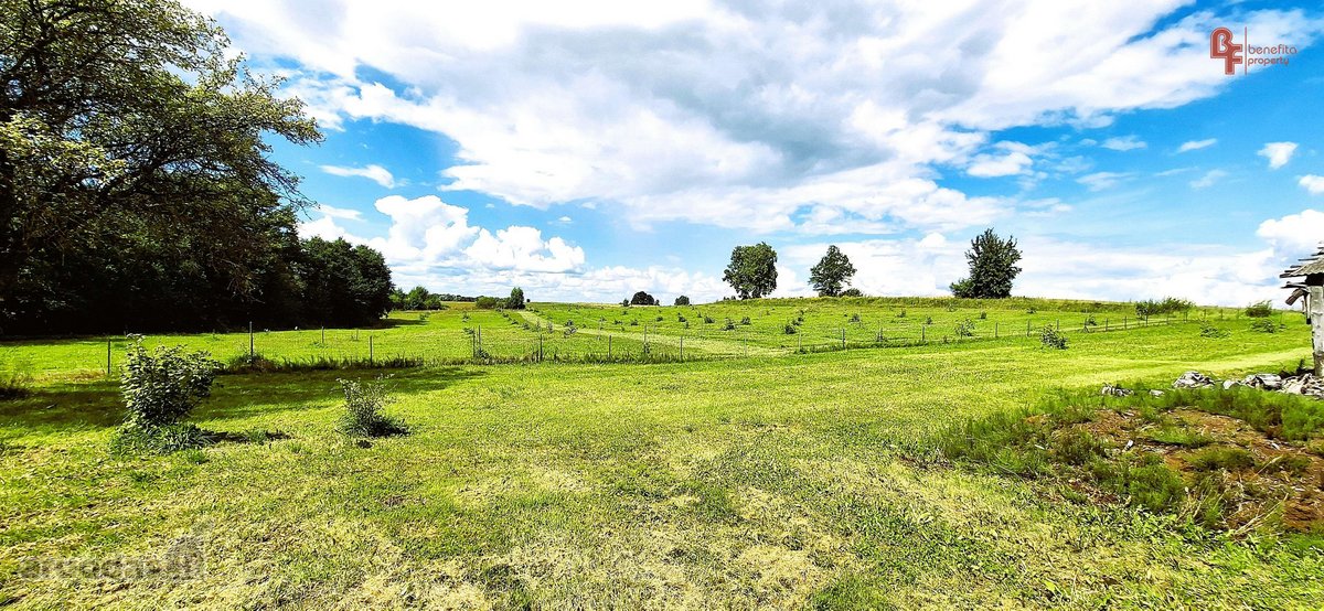 Parduodama sodyba su šilauogių ūkiu - nuotraukos Nr. 13
