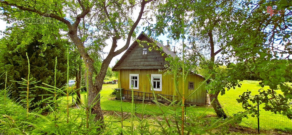 Parduodama sodyba su šilauogių ūkiu - nuotraukos Nr. 14