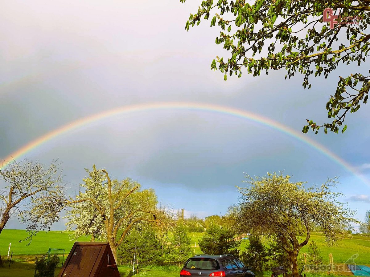 Parduodama sodyba su šilauogių ūkiu - nuotraukos Nr. 27
