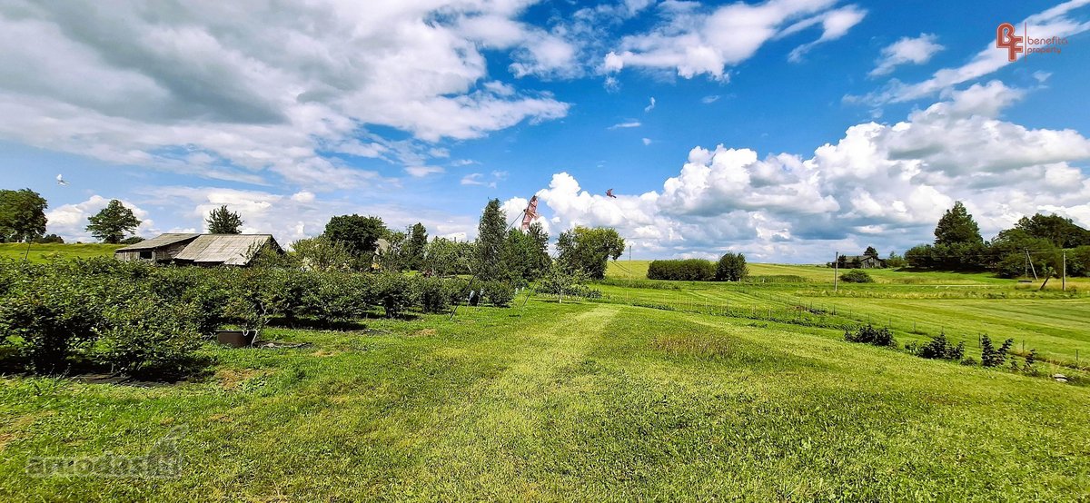 Parduodama sodyba su šilauogių ūkiu - nuotraukos Nr. 30