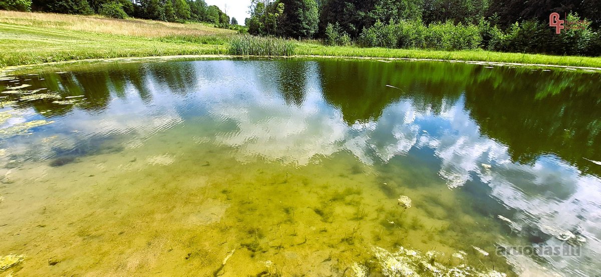 Parduodama sodyba su šilauogių ūkiu - nuotraukos Nr. 31