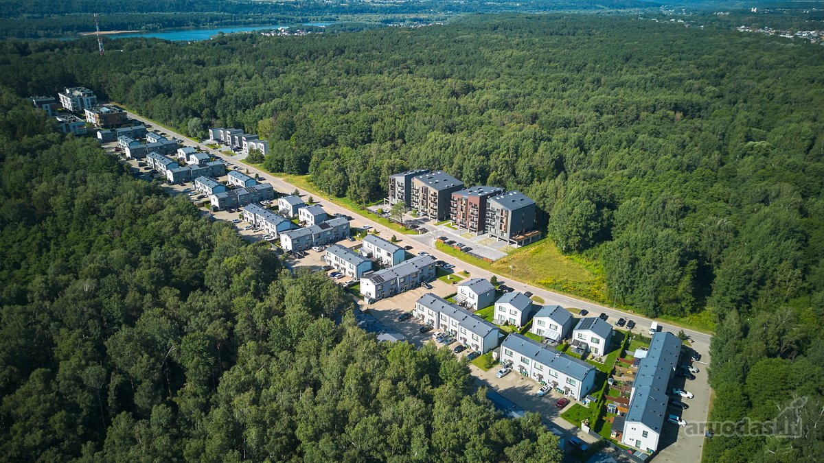 Jauki Vieta Kasdieniam Gyvenimui Miško - nuotraukos Nr. 52