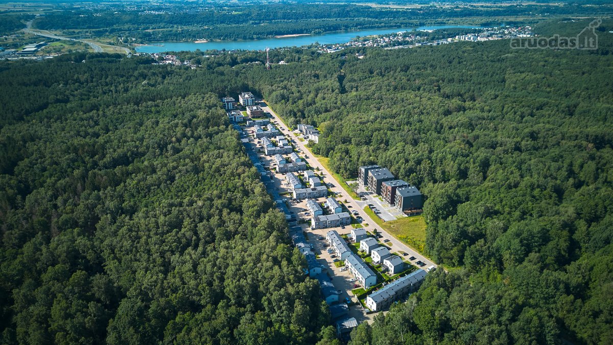 Jauki Vieta Kasdieniam Gyvenimui Miško - nuotraukos Nr. 46