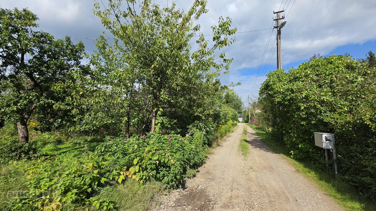 Parduodamas 6 arų sklypas Juodvarnių Sodų 28 - nuotraukos Nr. 4