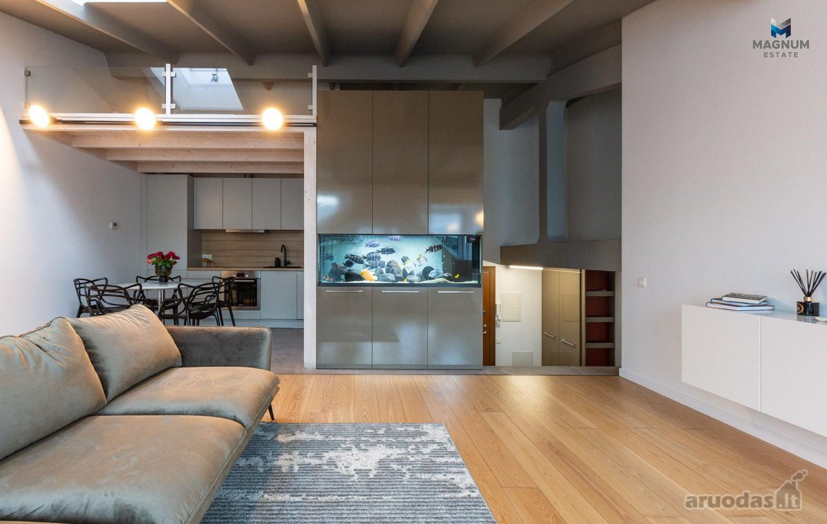 Išskirtinis Butas Su Aukštomis Lubomis - nuotraukos Nr. 8