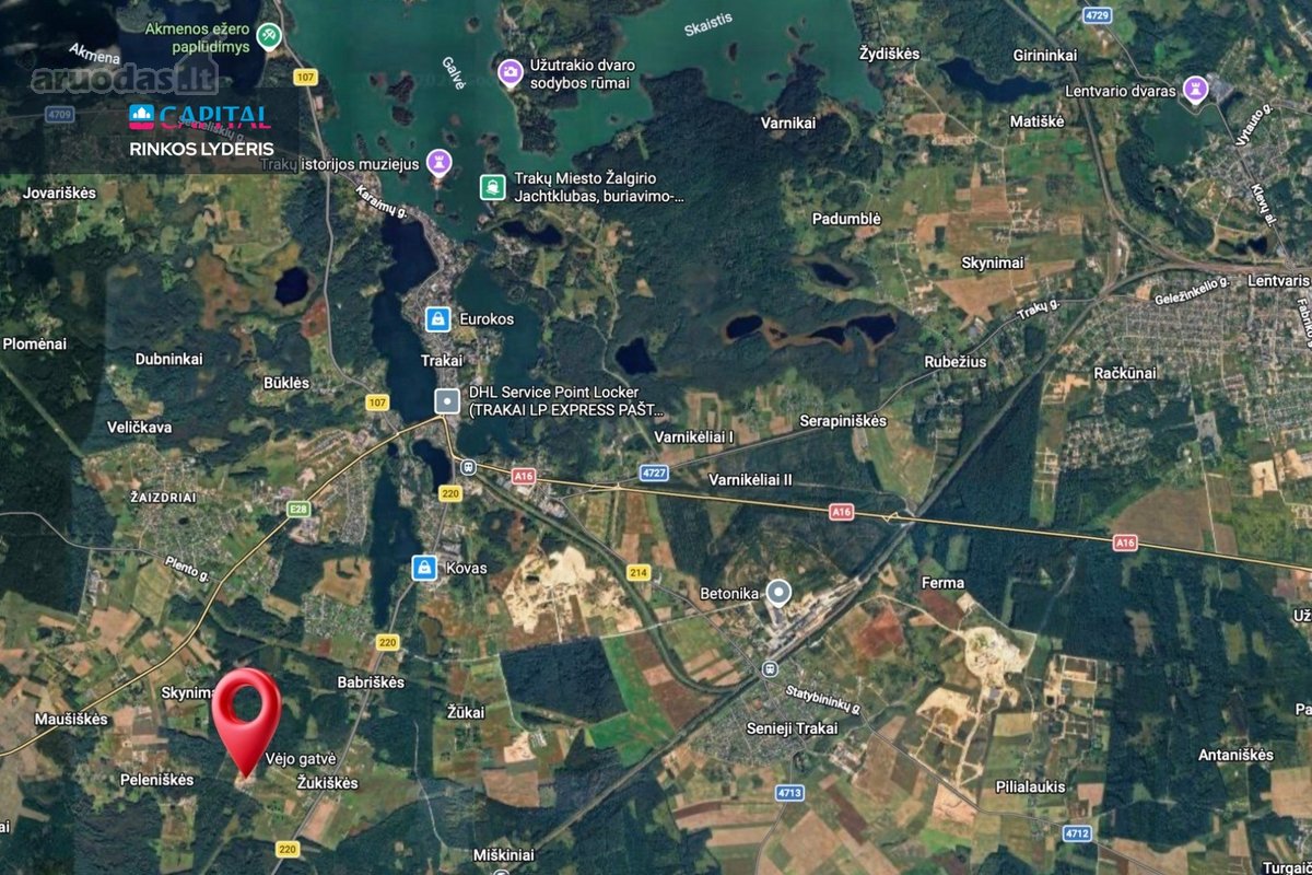 Naujos statybos vieno aukšto sublokuoti namai - nuotraukos Nr. 30