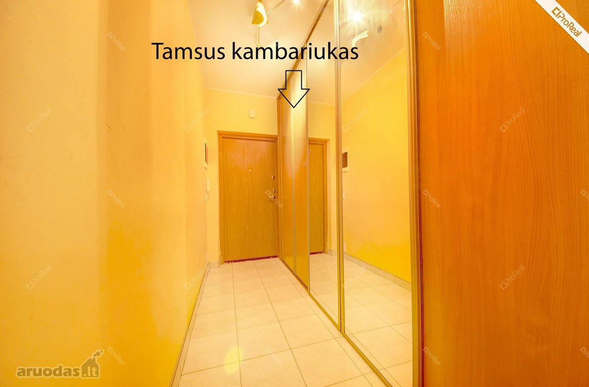 Nuomojamas Jaukus Vieno Kambario Butas - nuotraukos Nr. 6