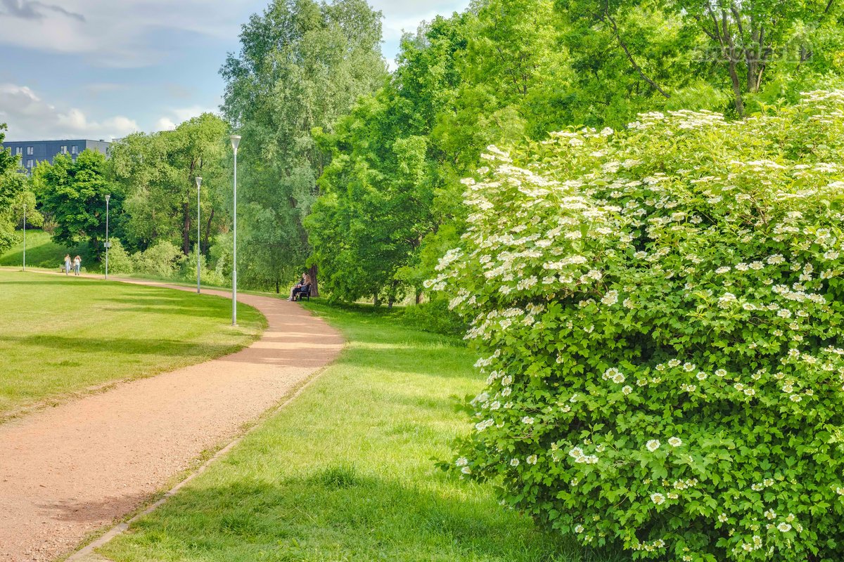 Parduodamas jaukiai ir tvarkingai įrengtas 45 - nuotraukos Nr. 31