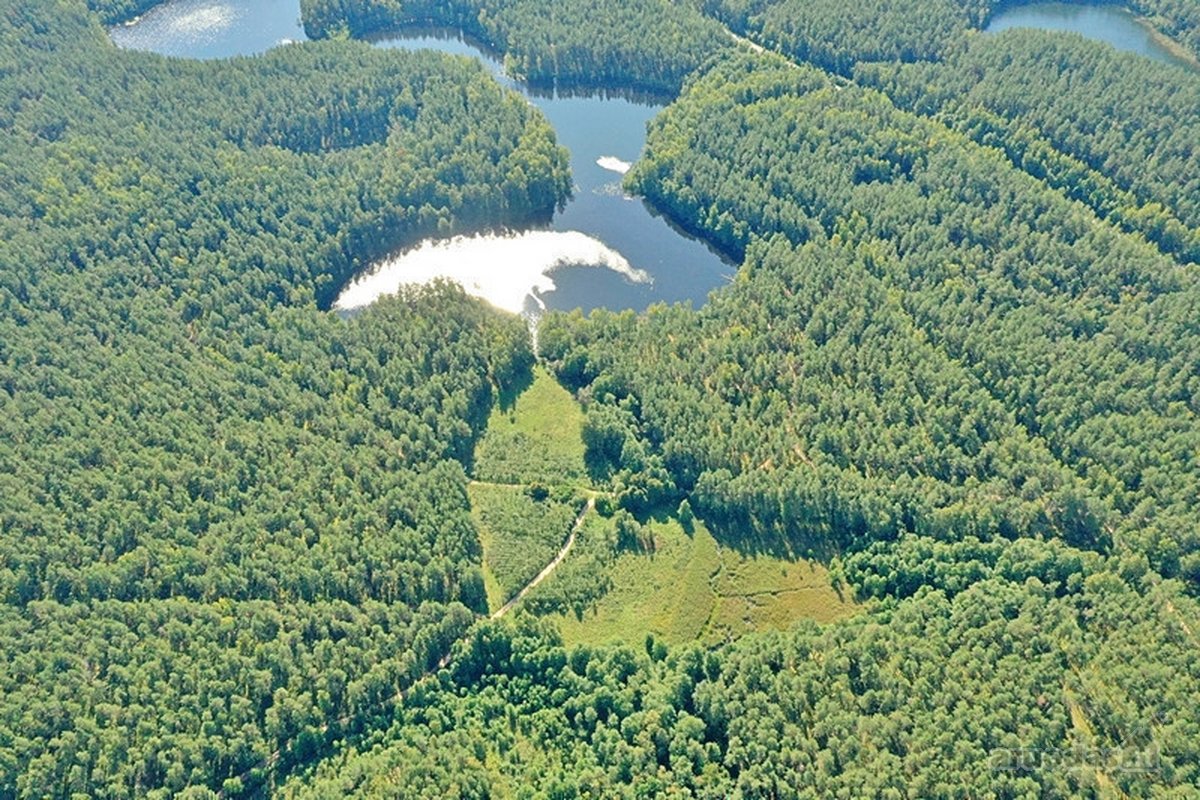 Parduodamas 15,2 ha ploto Trilypio ežeras ir - nuotraukos Nr. 4