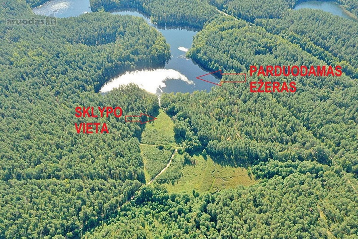 Parduodamas 15,2 ha ploto Trilypio ežeras ir - nuotraukos Nr. 5