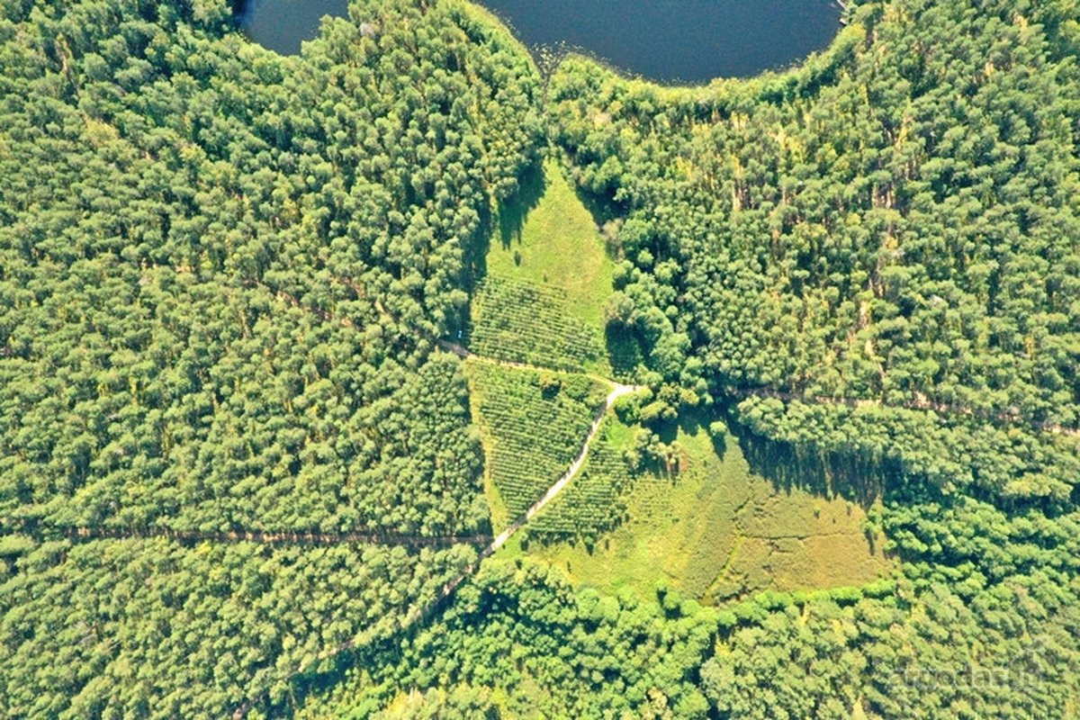 Parduodamas 15,2 ha ploto Trilypio ežeras ir - nuotraukos Nr. 6
