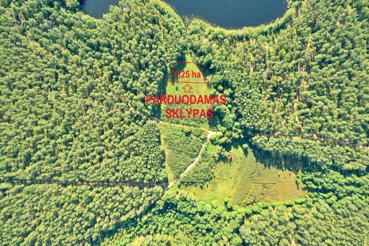 Parduodamas 15,2 ha ploto Trilypio ežeras ir - nuotraukos Nr. 7