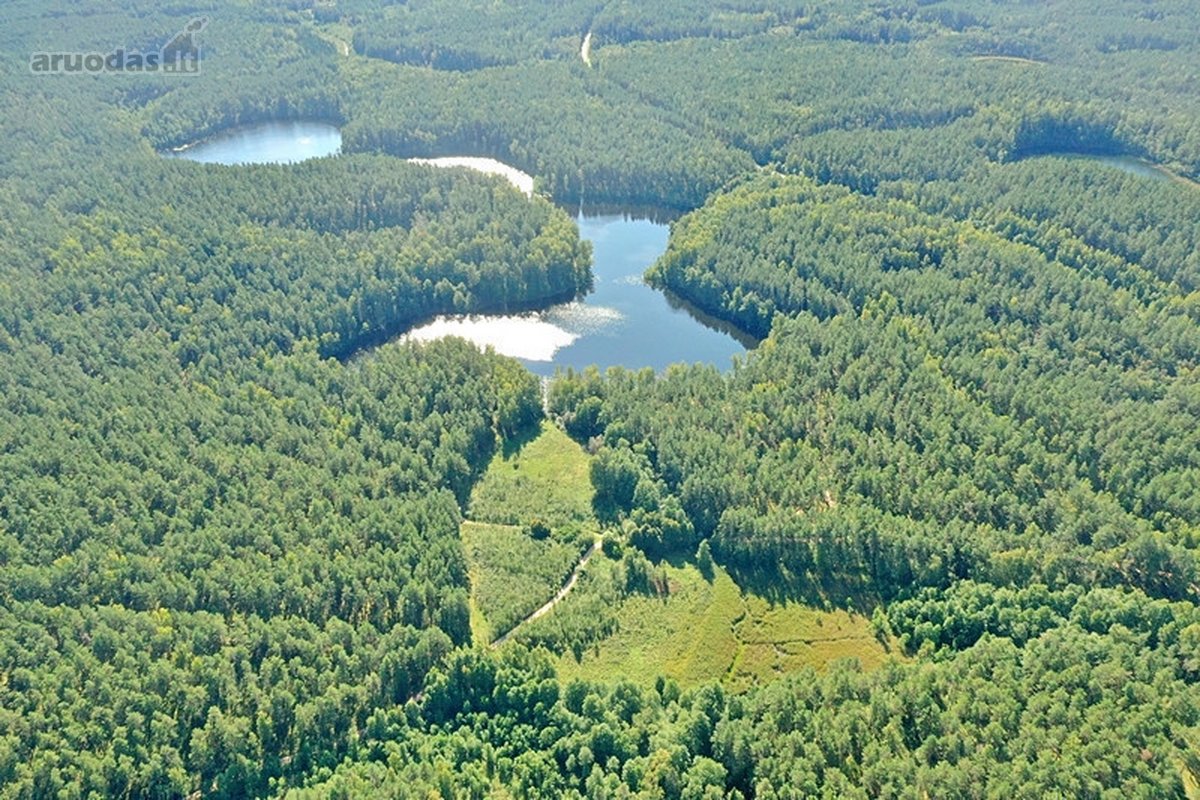 Parduodamas 15,2 ha ploto Trilypio ežeras ir - nuotraukos Nr. 8