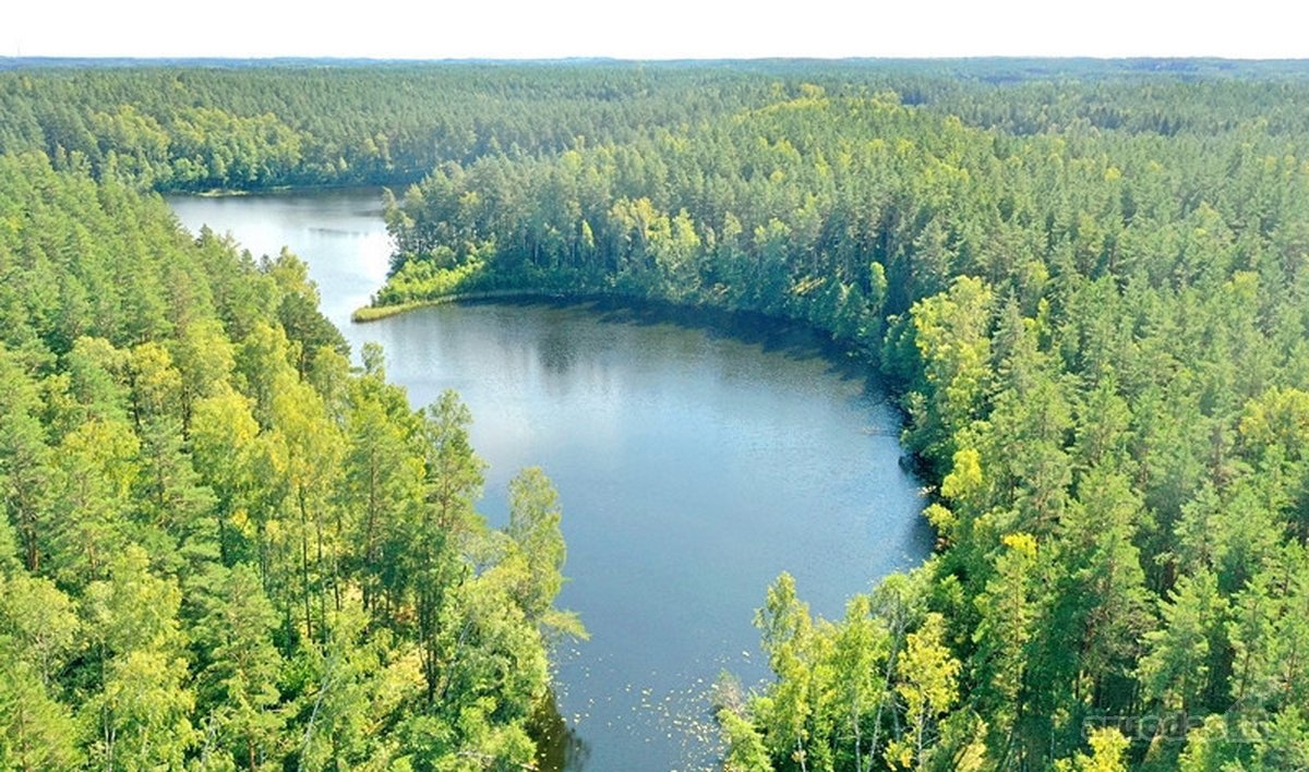 Parduodamas 15,2 ha ploto Trilypio ežeras ir - nuotraukos Nr. 9