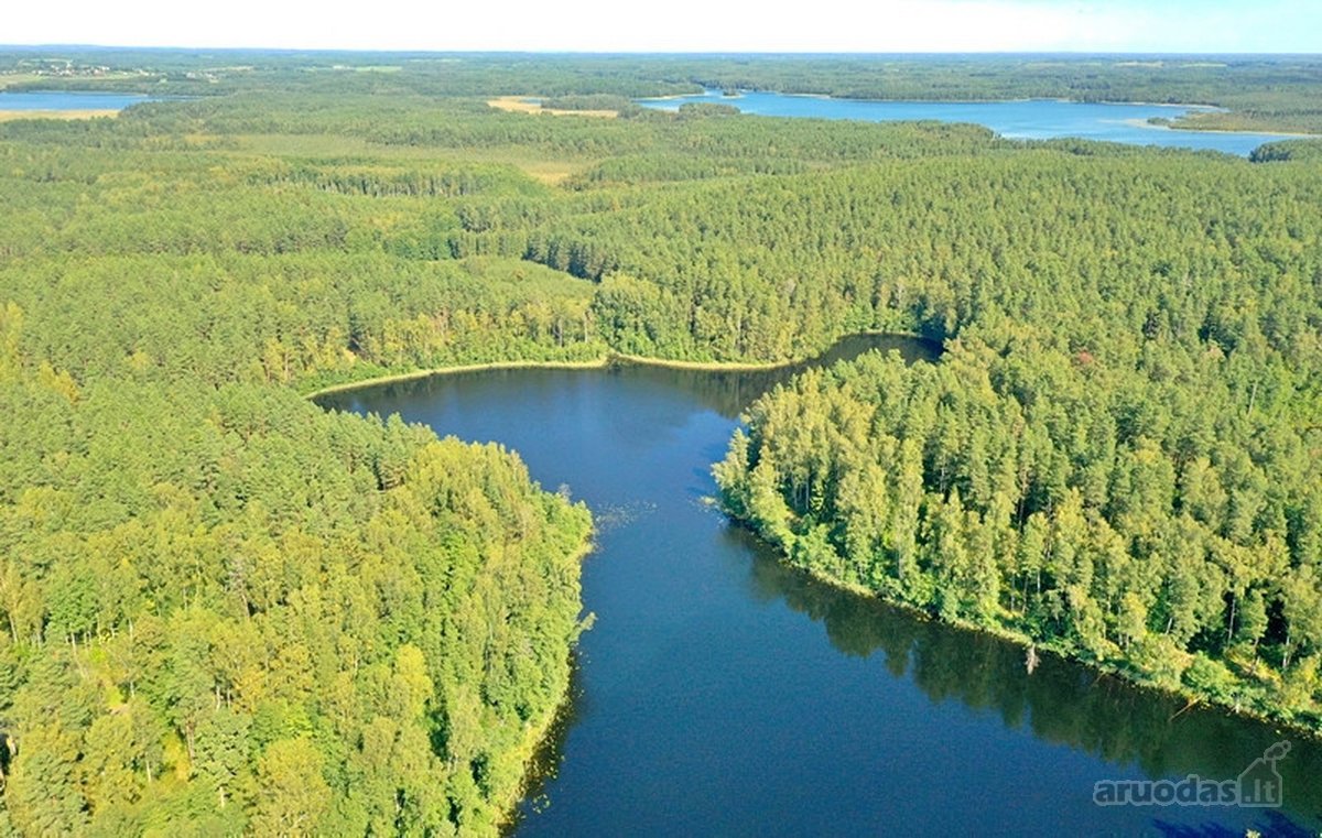Parduodamas 15,2 ha ploto Trilypio ežeras ir - nuotraukos Nr. 10