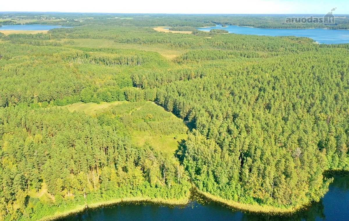 Parduodamas 15,2 ha ploto Trilypio ežeras ir - nuotraukos Nr. 11