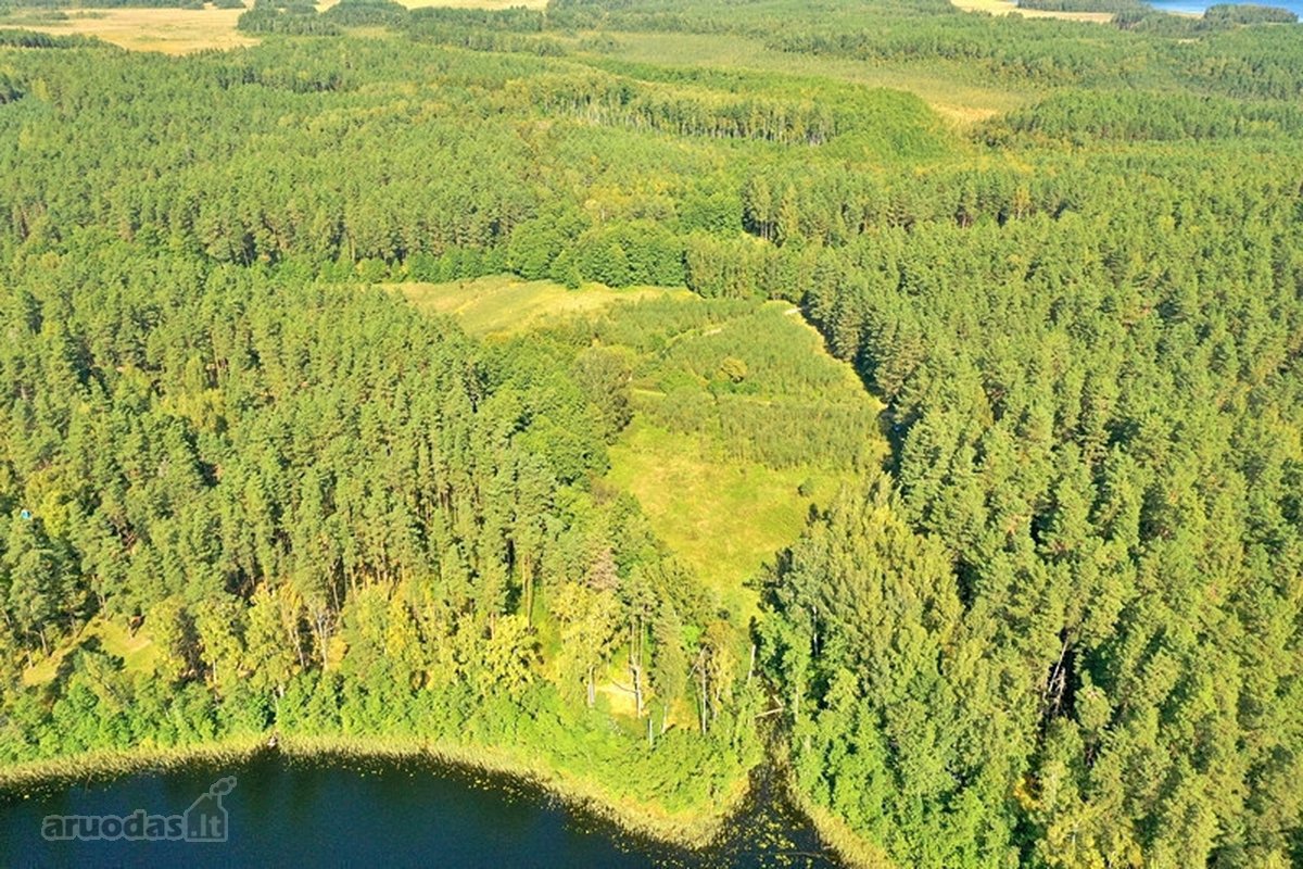 Parduodamas 15,2 ha ploto Trilypio ežeras ir - nuotraukos Nr. 12