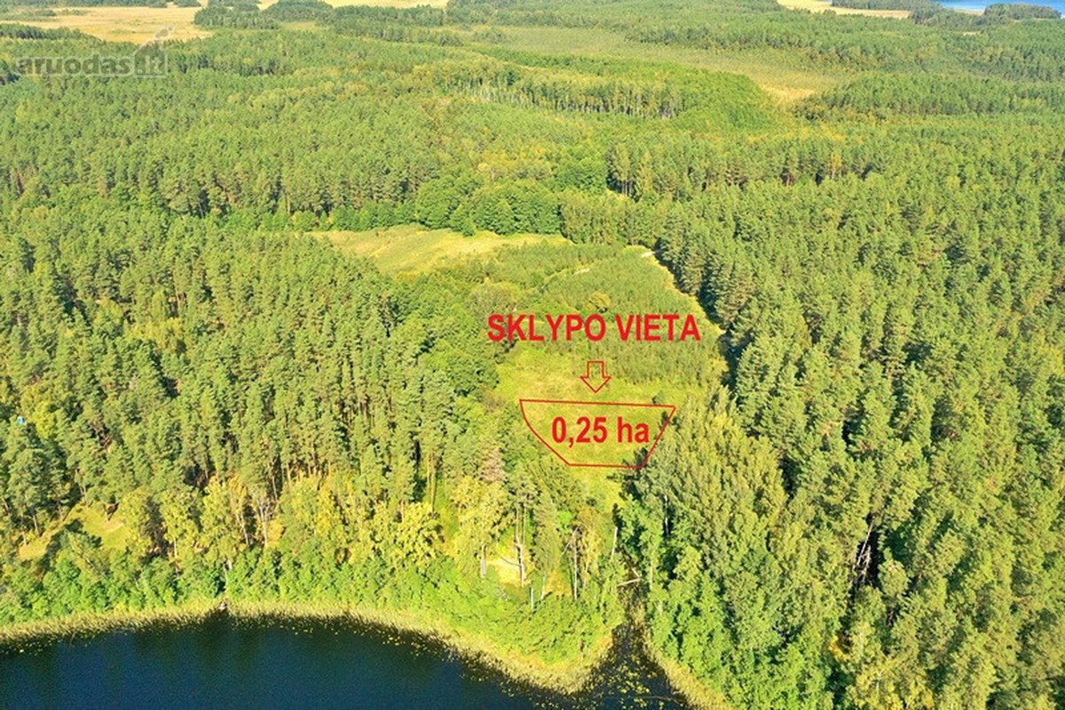 Parduodamas 15,2 ha ploto Trilypio ežeras ir - nuotraukos Nr. 13