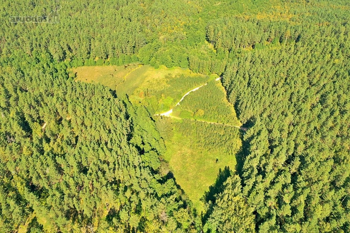Parduodamas 15,2 ha ploto Trilypio ežeras ir - nuotraukos Nr. 14