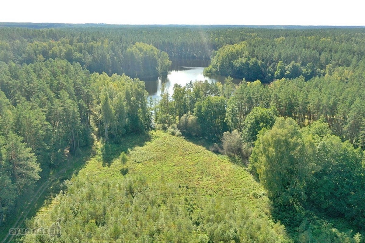 Parduodamas 15,2 ha ploto Trilypio ežeras ir - nuotraukos Nr. 15