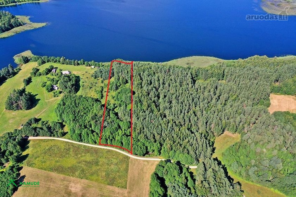 Parduodama išskirtinė sodybvietė ant Asalnų - nuotraukos Nr. 3