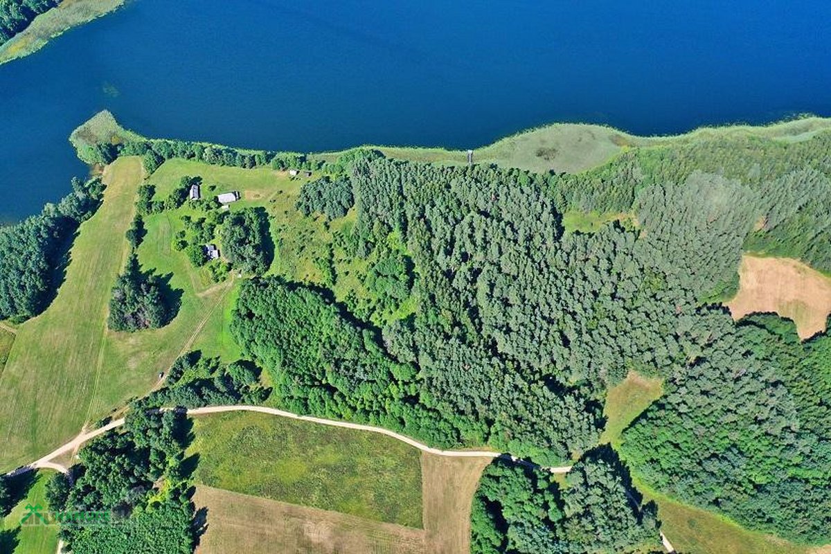 Parduodama išskirtinė sodybvietė ant Asalnų - nuotraukos Nr. 5