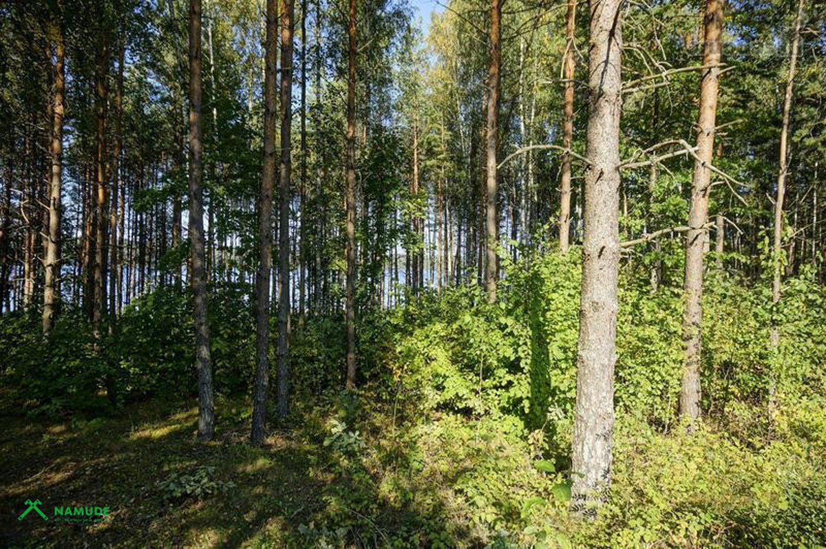 Parduodama išskirtinė sodybvietė ant Asalnų - nuotraukos Nr. 16