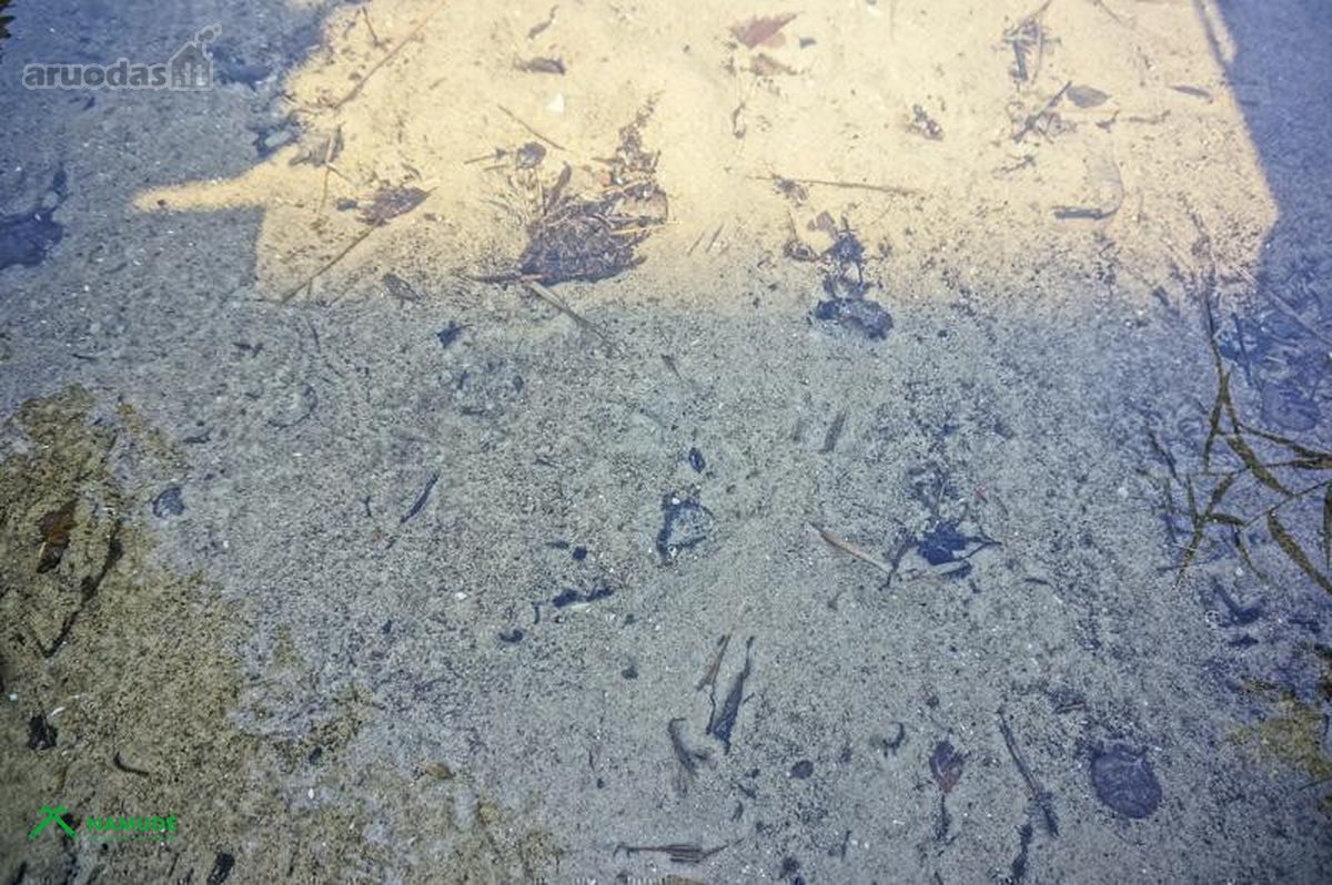 Parduodama išskirtinė sodybvietė ant Asalnų - nuotraukos Nr. 17