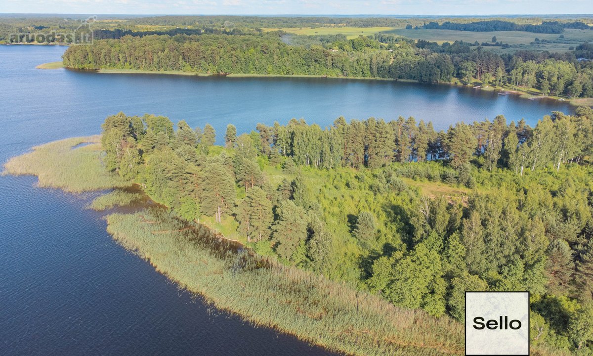  – Nt ekspertai be procentų - nuotraukos Nr. 5