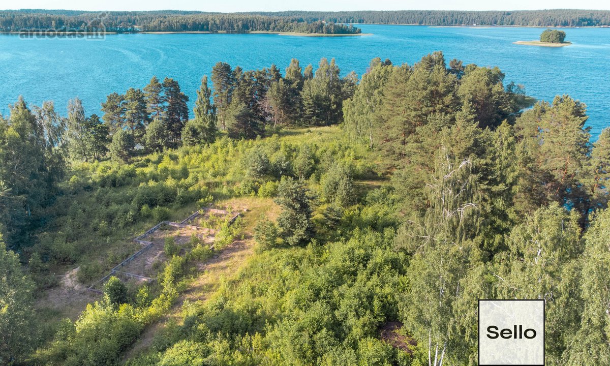  – Nt ekspertai be procentų - nuotraukos Nr. 7