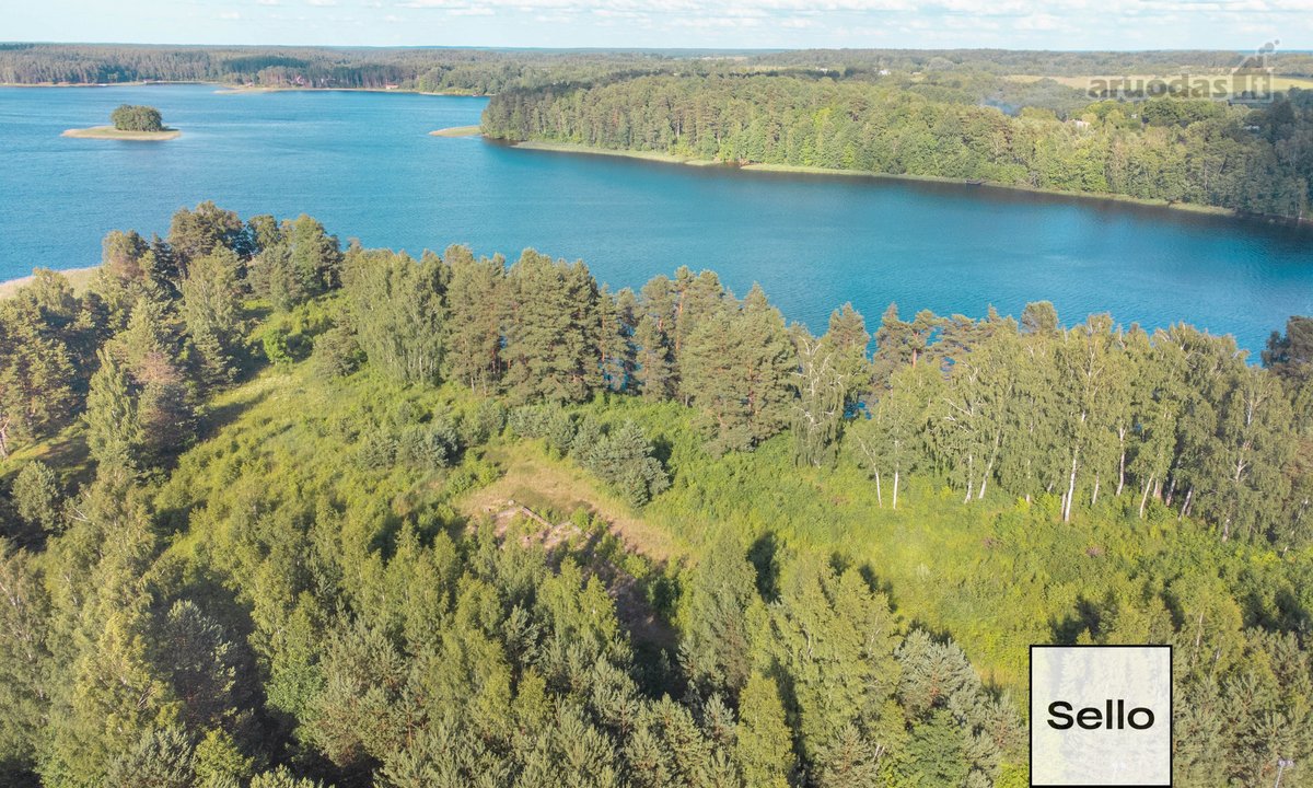  – Nt ekspertai be procentų - nuotraukos Nr. 8