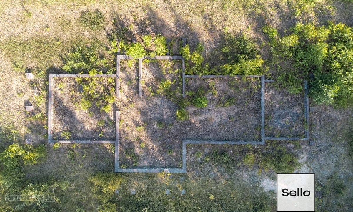  – Nt ekspertai be procentų - nuotraukos Nr. 12