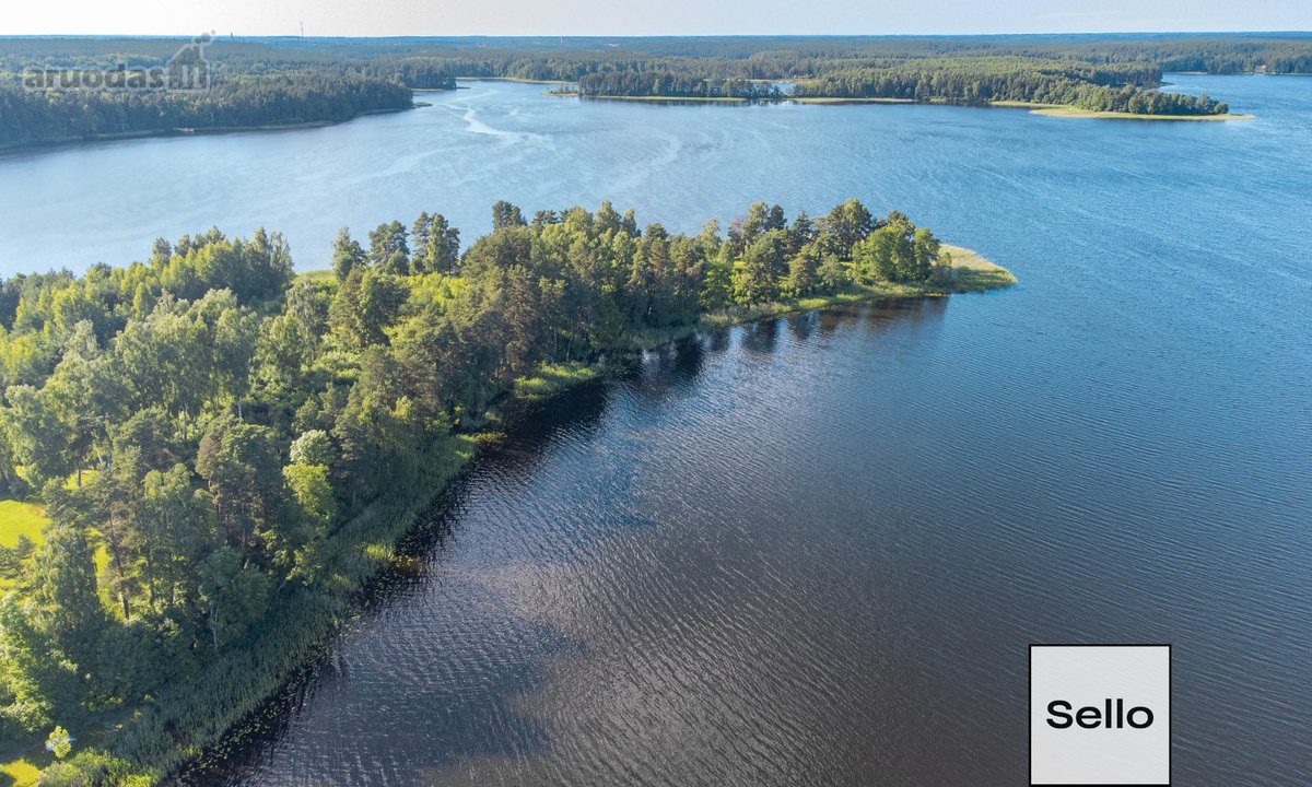  – Nt ekspertai be procentų - nuotraukos Nr. 4