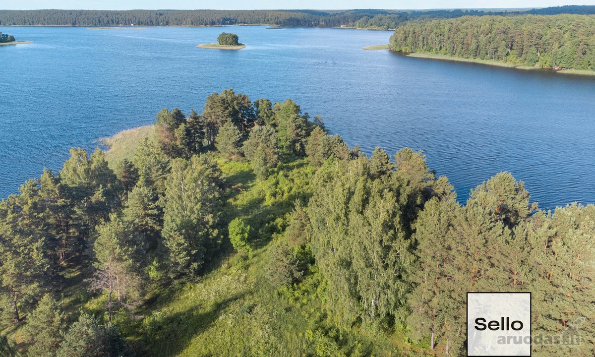  – Nt ekspertai be procentų - nuotraukos Nr. 26