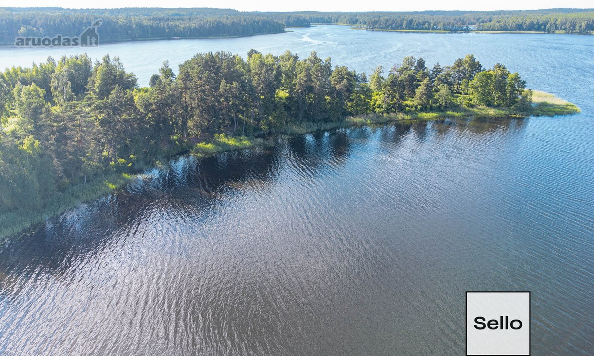  – Nt ekspertai be procentų - nuotraukos Nr. 28