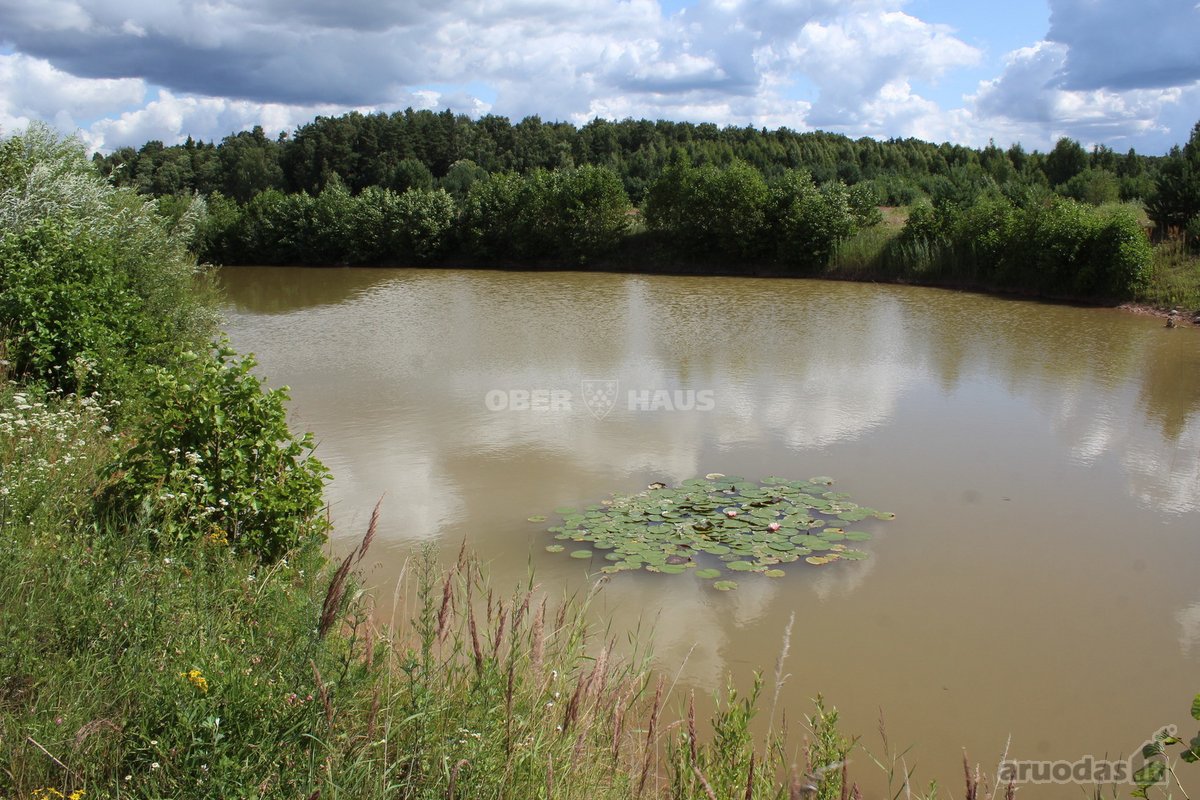 Sklypų Masyvas Stanionių K., Panevėžio R. Sav. - nuotraukos Nr. 6