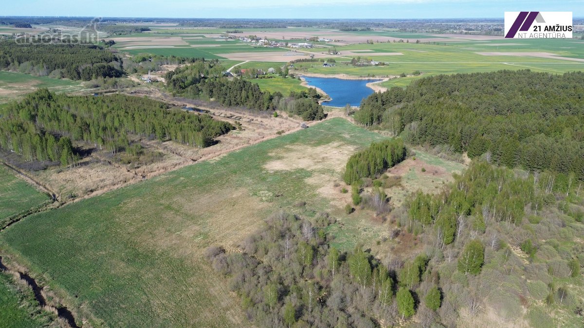 Parduodamas 4 ha žemės ūkio paskirties - nuotraukos Nr. 2