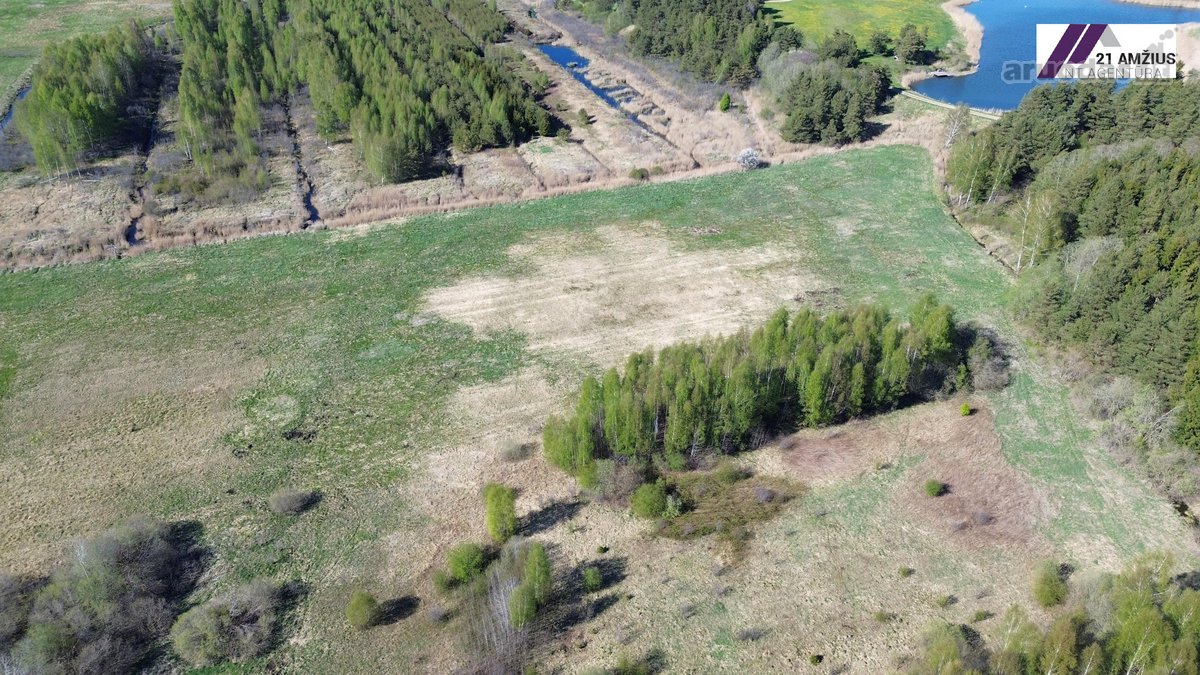 Parduodamas 4 ha žemės ūkio paskirties - nuotraukos Nr. 3