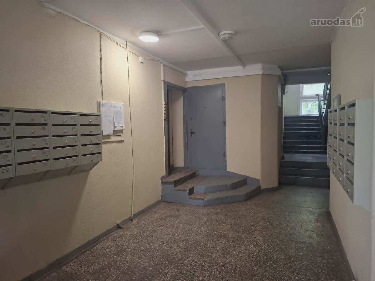 Jaukus, šviesus vieno kambario butas su - nuotraukos Nr. 29