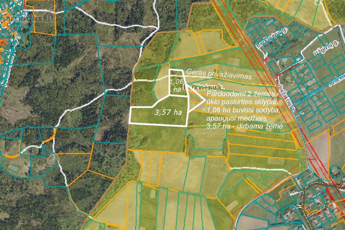 Parduodamas 37,82 ha išpuoselėtas miško - nuotraukos Nr. 9