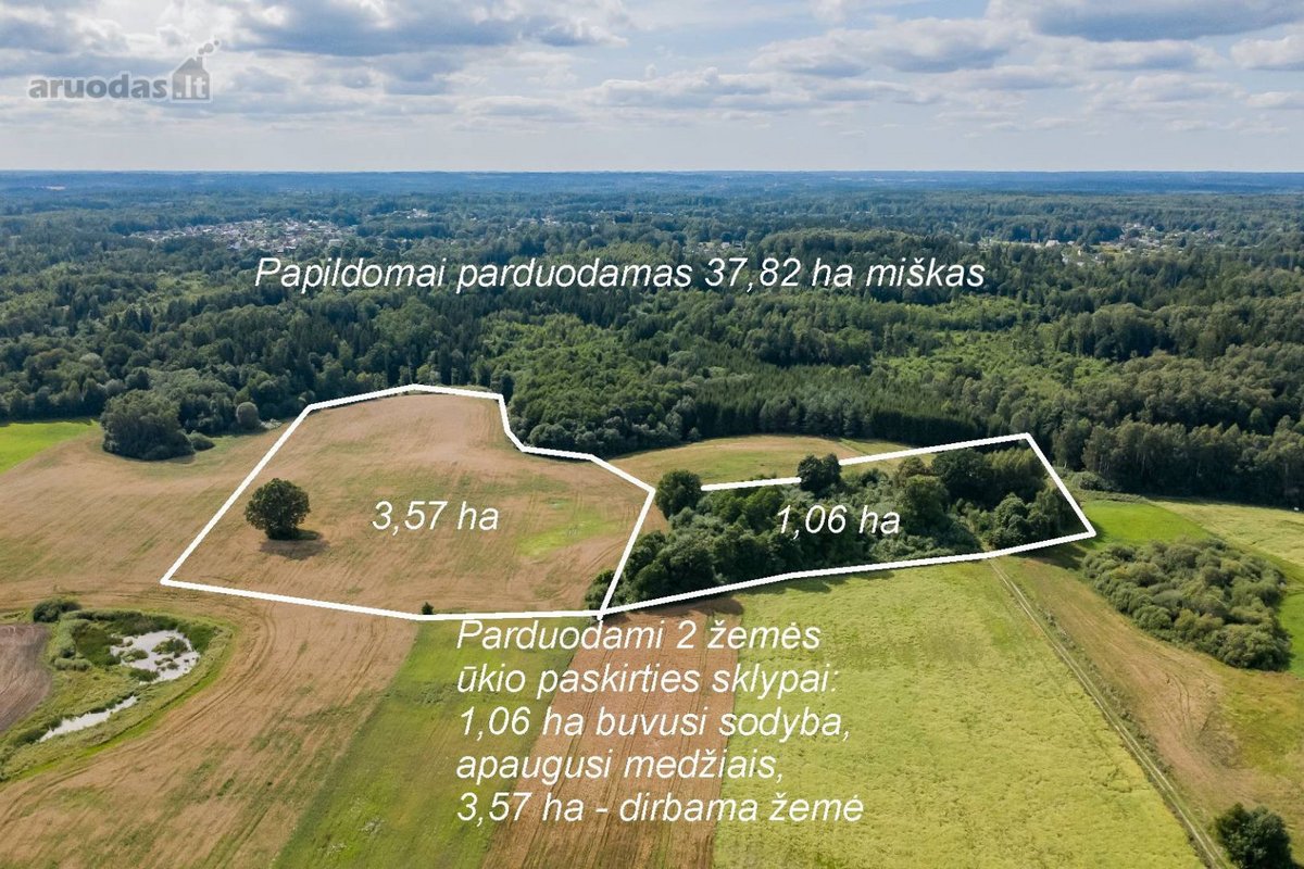Parduodamas 37,82 ha išpuoselėtas miško - nuotraukos Nr. 8