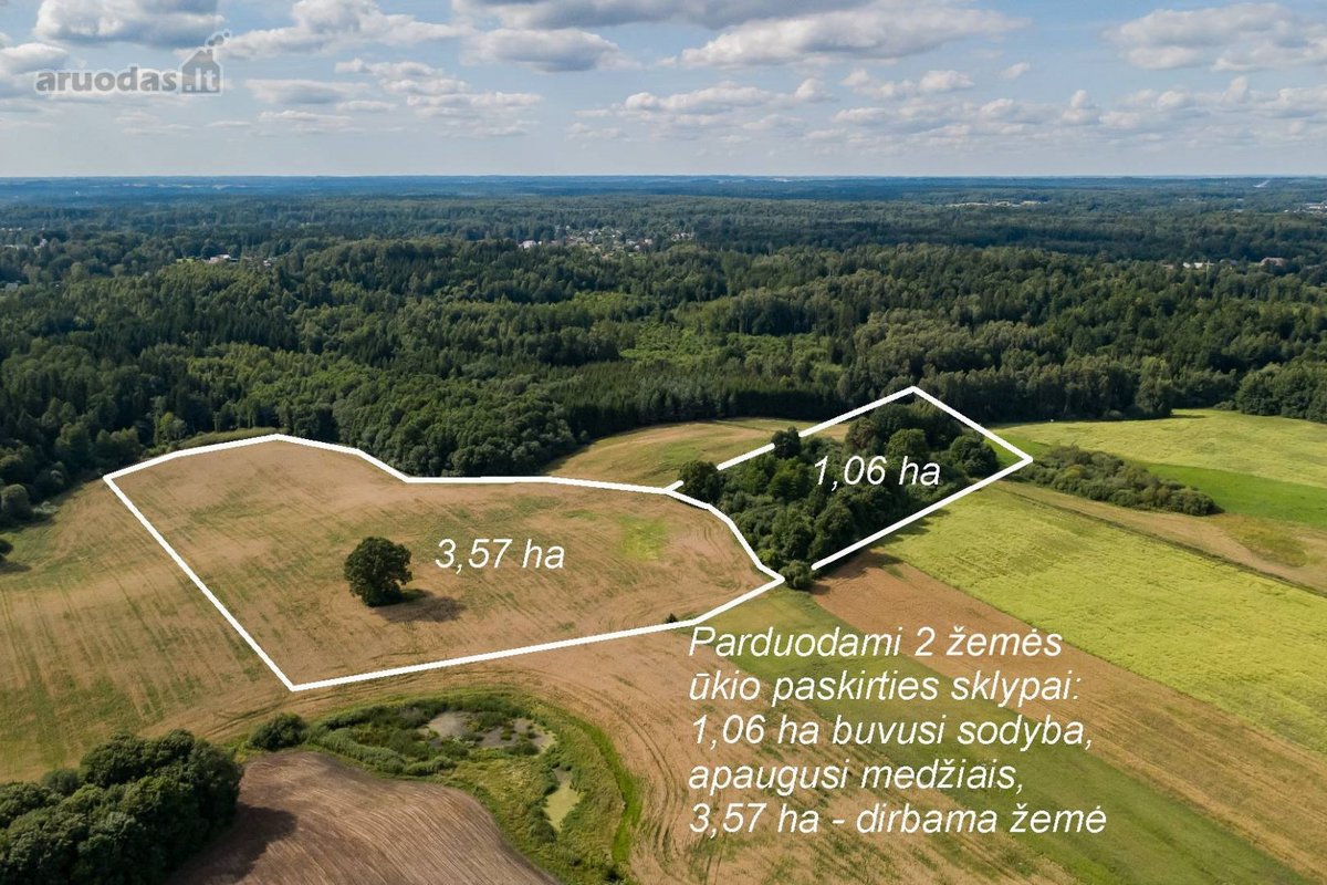 Parduodamas 37,82 ha išpuoselėtas miško - nuotraukos Nr. 7