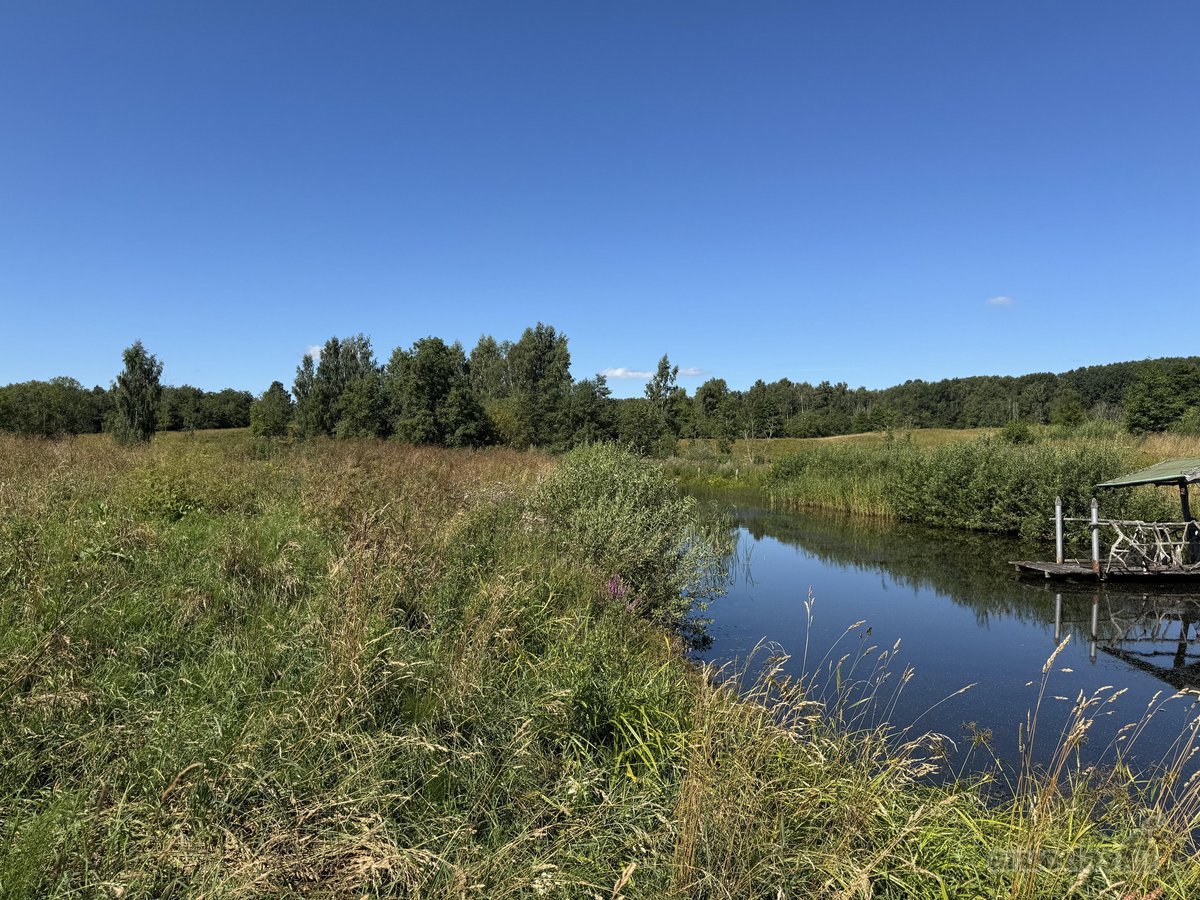 Parduodamas sklypas sodybai, tik 30 min nuo - nuotraukos Nr. 5