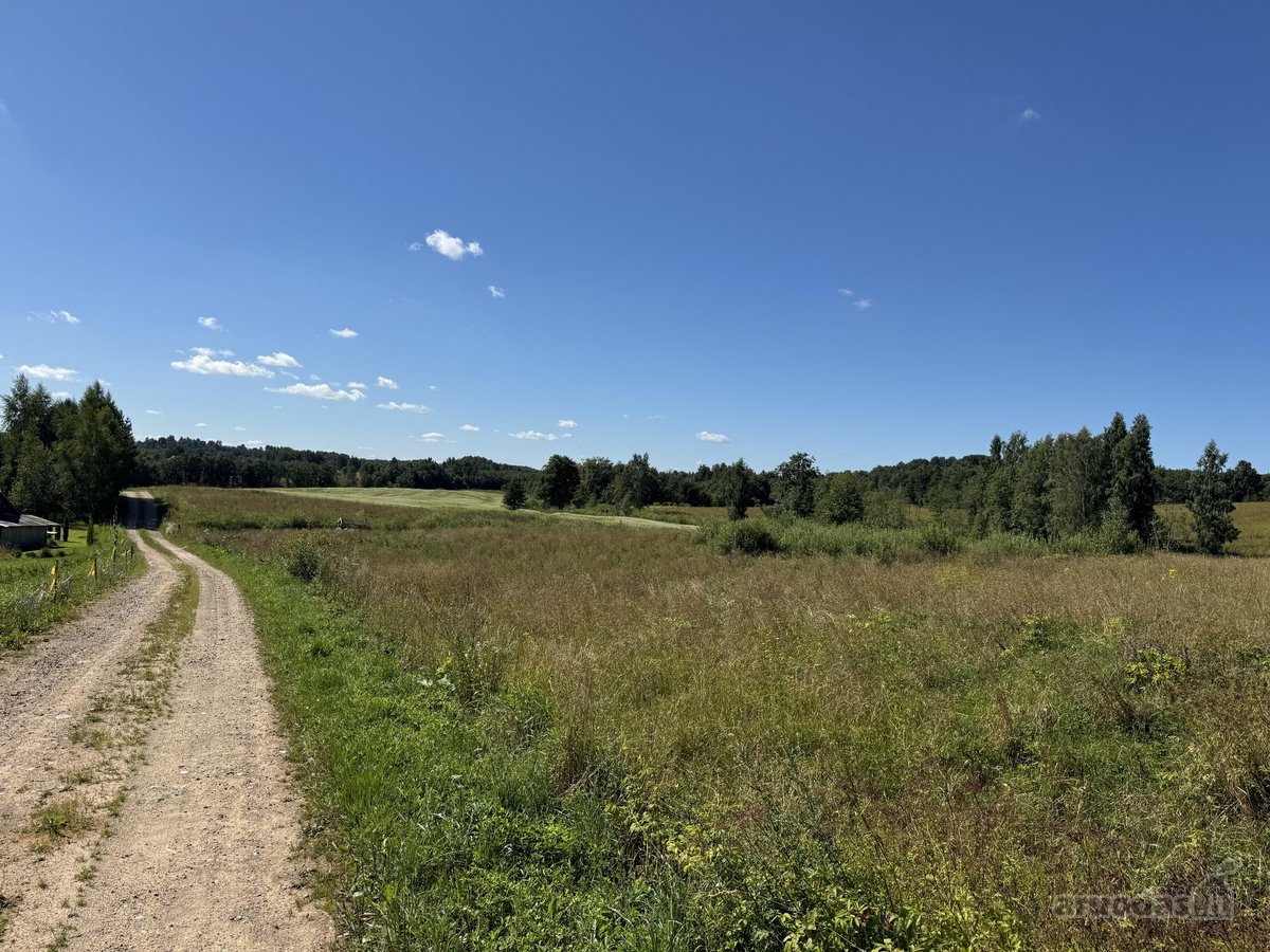 Parduodamas sklypas sodybai, tik 30 min nuo - nuotraukos Nr. 3