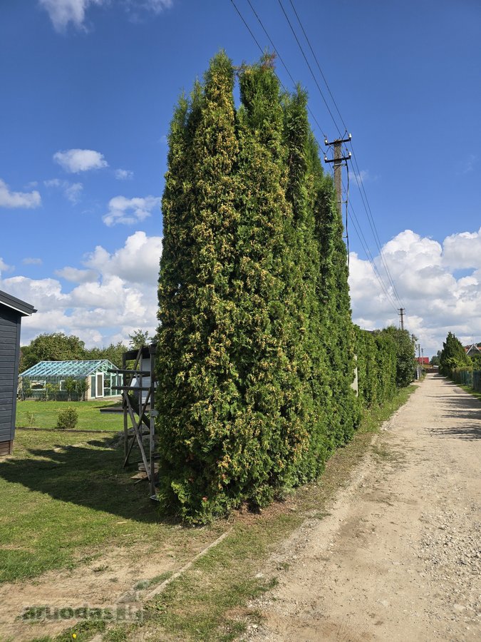 Parduodamas jaukus namas patogiam gyvenimui - nuotraukos Nr. 22