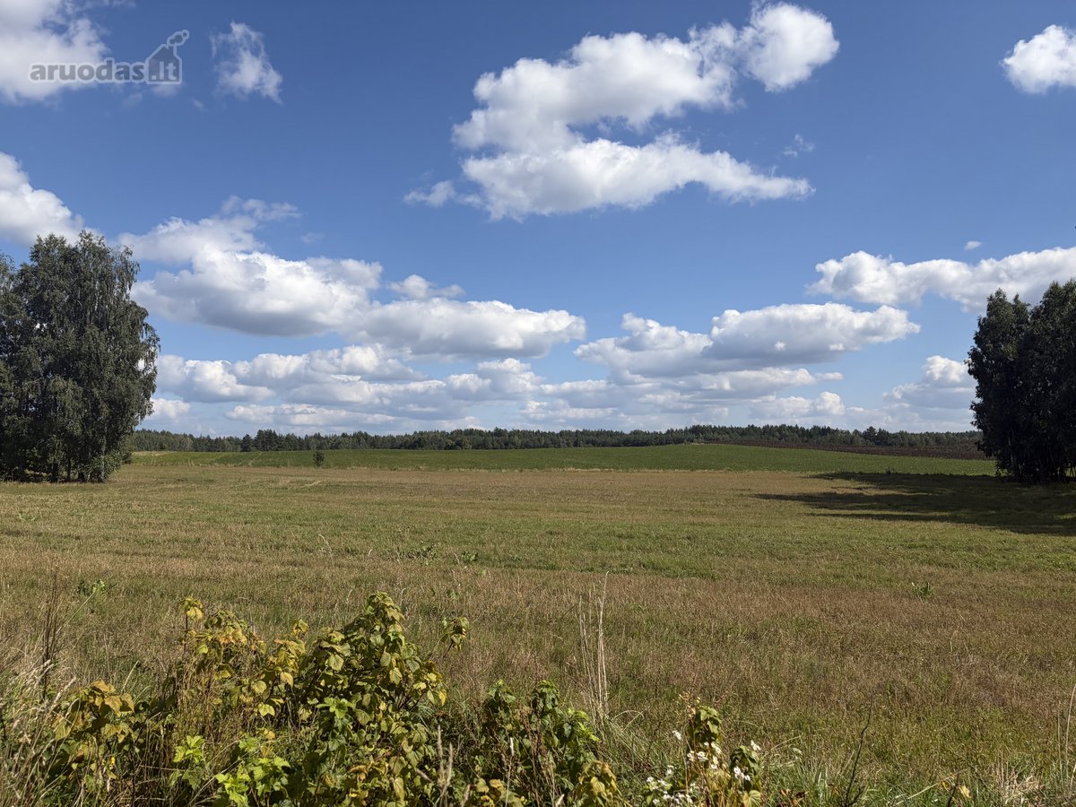 Jauki sodyba 10 km nuo Druskininkų – gamtos - nuotraukos Nr. 5